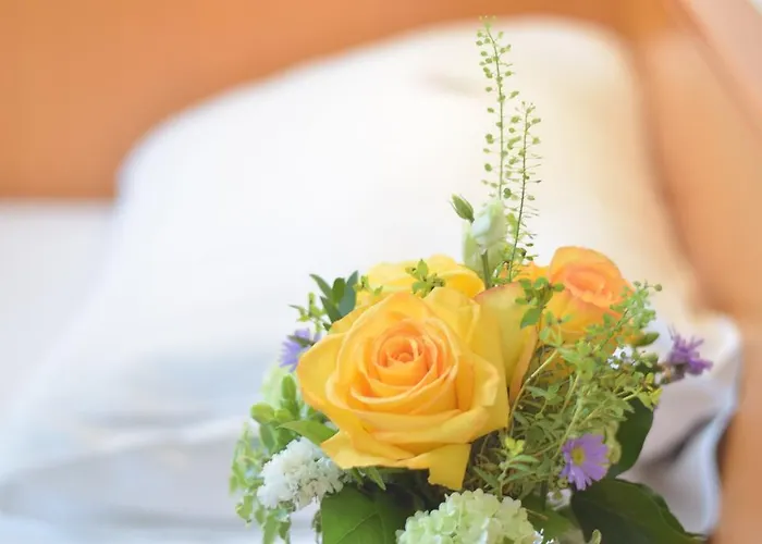 Hotel Bornheimer Hof Frankfurt nad Menem