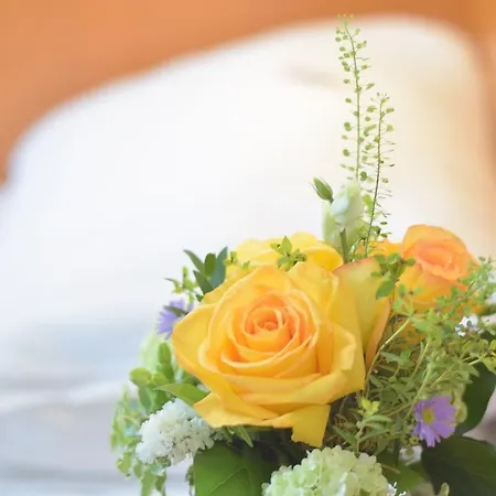 Hotel Bornheimer Hof Fráncfort del Meno